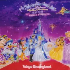 ディズニーランド　シンデレラ　ショッピングバッグ（2008）