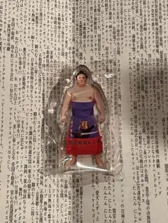 【義ノ富士関】大相撲ガチャ アクスタ