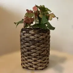 2026年最新】胡桃かごの人気アイテム - メルカリ