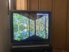 Panasonic TAU TH-21FA70 動作確認済 清掃済 - メルカリ
