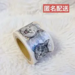 Item thumbnail for item 05a6b867-eae8-4cb3-9e4d-8e3022066d29