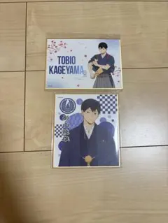 ハイキュー 影山飛雄 色紙セット