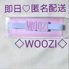 SEVENTEEN セブチ ウォヌ ペンライトアクセサリー ラバーバンド - メルカリ