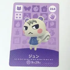 2026年最新】amiboジュンの人気アイテム - メルカリ