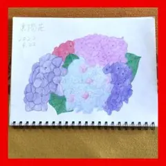 【リクエスト＆コメントページ】今年８９歳になるおばあちゃんの鉛筆画 イラスト絵画 今年89歳になるおばあちゃんの鉛筆画【椿③】イラスト 絵画 色鉛筆画