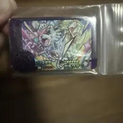 ポケモンフレンダ スーパートレジャー ベストタッグ2弾 ガチグマ