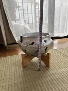 植木鉢　陶器鉢　木製スタンド付き　観葉植物　塊根植物