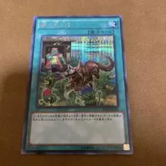 遊戯王　初版　隣の芝刈り シークレット RADI-JP066 →850