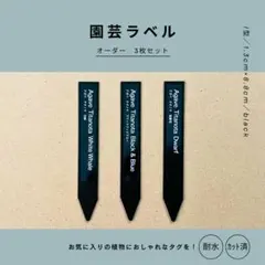 園芸ラベル◆オーダー3枚◆　I型　プランツタグ　多肉植物　耐水　テプラ　モノラベ