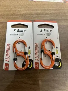 Item thumbnail for item 44605be6-3f96-499c-a4b0-c884ecd1e654