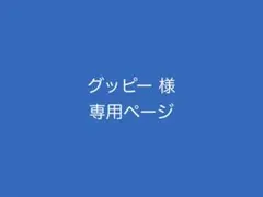 グッピー様 リクエスト 5点 まとめ商品
