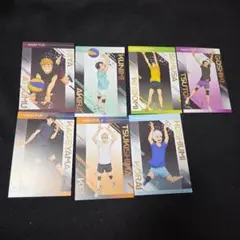 ハイキュー アニメイト特典 疑似ユース合宿フェア ポストカード 擬似ユース