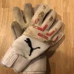 大特価　プーマ　フューチャー　キーパーグローブ