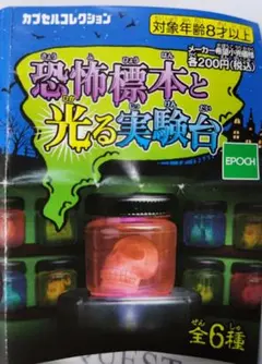 エポック社 恐怖標本と光る実験台 カプセルトイ　③肝臓と腸+ボトル