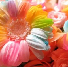 化粧水・ローション・トナー GELEE RICH ETIN LOTION 120mL 化粧水・ローション・トナー GELEE RICH ETIN LOTION 120mL