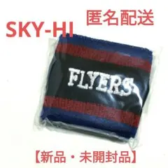 SKY-HI リストバンド 武道館SuccessIsTheBestRevenge