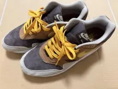 Nike Air Max 1 Duck Pack