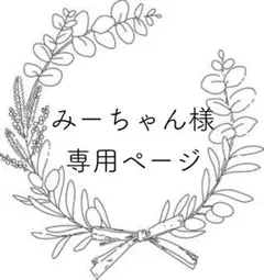 みーちゃん様 リクエスト 3点 まとめ商品