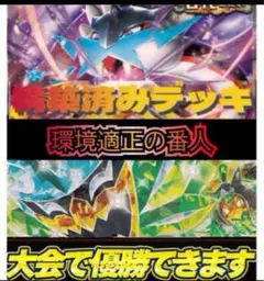 【引退品】ライコポン　高レアリティデッキ　ポケモンカード　ポケカ　SAR UR 引退品】ライコポン 高レアリティデッキ ポケモンカード ポケカ