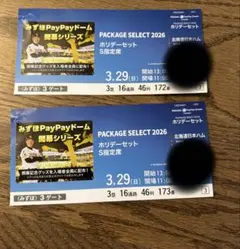 ホークスチケット3月29日2枚　入場記念グッズ付き