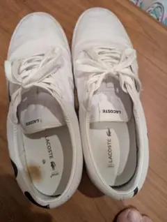 LACOSTE スニーカー ホワイト