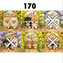 【170】りんご様パネル