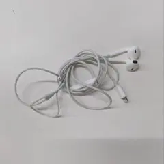 正規品 純正Apple ライトニングイヤフォン