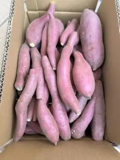 鳴門金時 訳あり B品さつまいものサムネイル