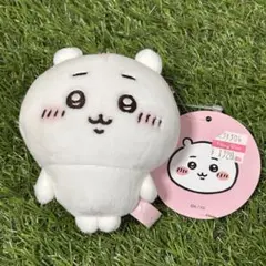 2026年最新】ちいかわ_ぷちミニマスコットの人気アイテム - メルカリ