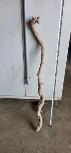 Item thumbnail for item aac95ea0-a53d-4762-84ee-fb91b839ddac