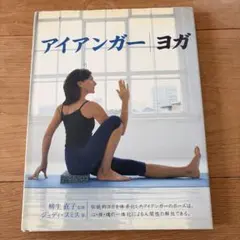 アイアンガーヨガ