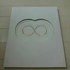 送料込み☆関ジャニ∞ ツアー2009puzzle パンフレット