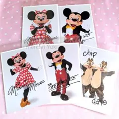 イマジニングザマジック ディズニーランド ポストカード 実写 サイン ミッキー