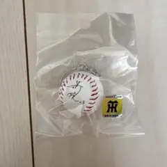 阪神タイガース ボール型キーホルダー 岩崎優