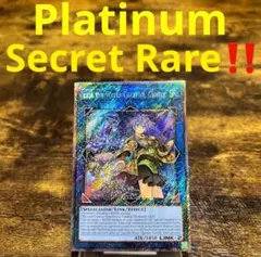 遊戯王【英語版】清冽の水霊使いエリア RA03 プラチナムシク‼️