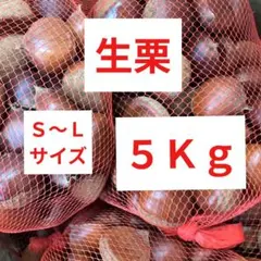全て4cm-4.5cmの3Lサイズ 栗 5kg 岐阜 恵那地方 - メルカリ