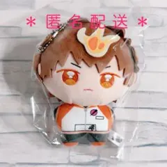 2025年最新】沢田綱吉 ぬいぐるみの人気アイテム - メルカリ