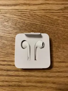 Apple EarPods with Lightning Connector