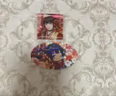 ウィンドブレイカー ウィンブレ VASARA 着物 アクブロ 特典 椿野