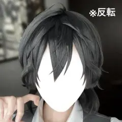 ✠伊藤ふみや ウィッグ✠セット済 カリスマ コスプレ レースフロント