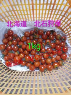 新鮮 北海道北石狩産 スイートミディレッド 1kgのサムネイル