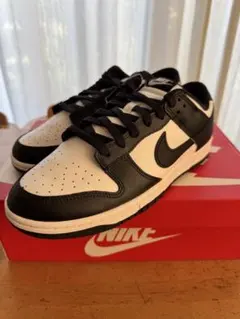 Nike Dunk Low Retro 10 ブラック/ホワイト