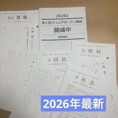 【最新版】2026年度　NN早稲田　フルセット 2026年最新】早稲田 nnの人気アイテム - メルカリ