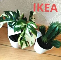 IKEA フェイカ 人工観葉植物　鉢カバー付　モンステラ&サボテン　2点セット⑤のサムネイル