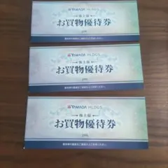 ヤマダホールディングス 株主優待券 15000円分 ヤマダ電機 YAMADA