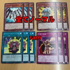 レイヴン様 リクエスト 2点 まとめ商品