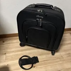 2025年最新】SWANYキャリーバッグの人気アイテム - メルカリ