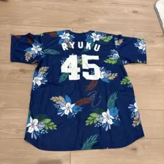 Item thumbnail for item a4be6ec9-838b-46db-bdbe-44869e5410b2