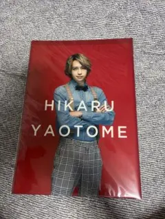 八乙女光 髙木雄也 クリアファイル