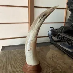 水牛角　龍彫刻のサムネイル